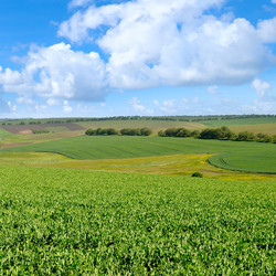 Similar image 13310325