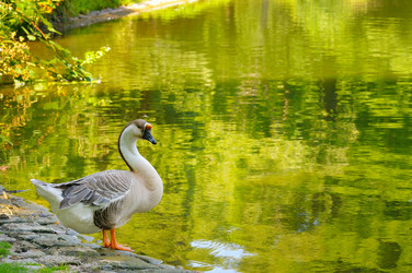 Similar image 13310351