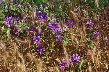 Similar image 13310986