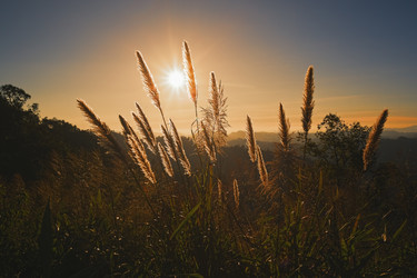 Similar image 13310987