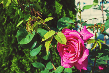 Similar image 13310912