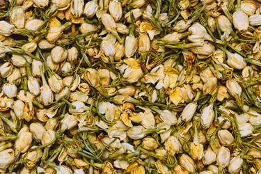 Similar image 13310924