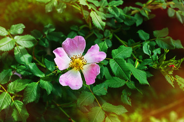 Similar image 13310948