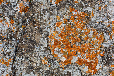 Similar image 13311002