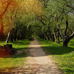 Similar image 13311077