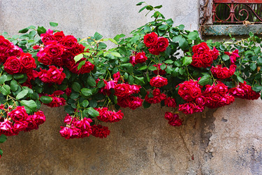 Similar image 13310928