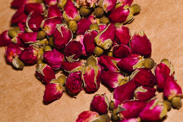 Similar image 13310932