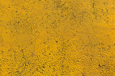 Similar image 13310934