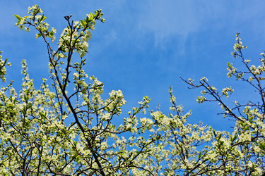 Similar image 13310978