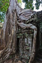 Similar image 13310982