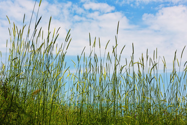 Similar image 13311000