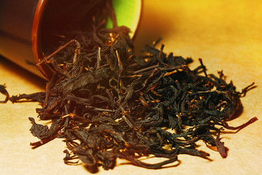 Similar image 13311006