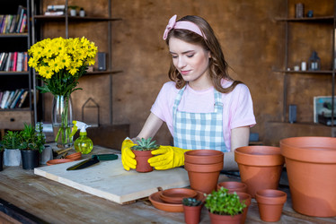 Similar image 13314598