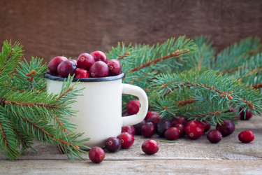 Similar image 13309485