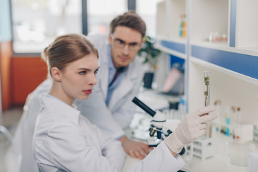 Similar image 13311878