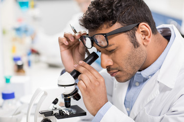 Similar image 13312076