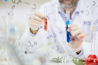 Similar image 13306632