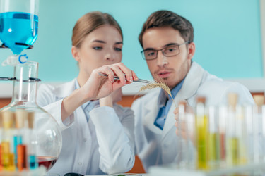 Similar image 13311657