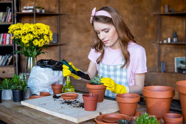 Similar image 13315208