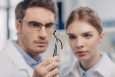 Similar image 13315194