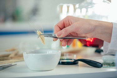 Similar image 13312024