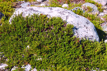 Similar image 13308527