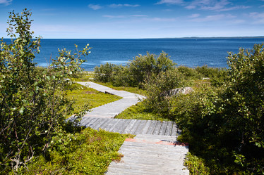 Similar image 13308531