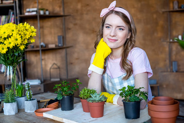 Similar image 13311706