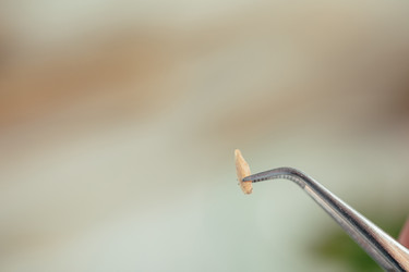 Similar image 13314013