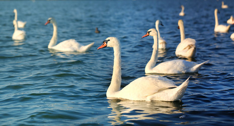 Similar image 13306125