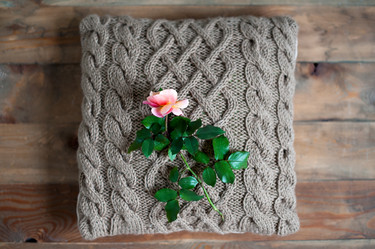 Similar image 13305534