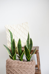 Similar image 13305535