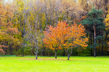 Similar image 13306099