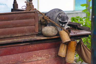 Similar image 13306124