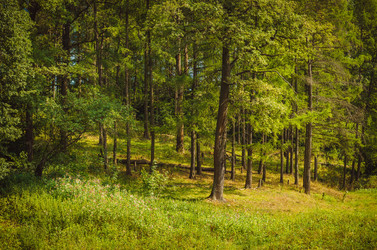 Similar image 13305560