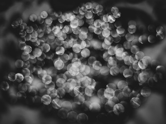 Similar image 13305564