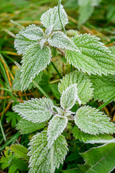 Similar image 13322126