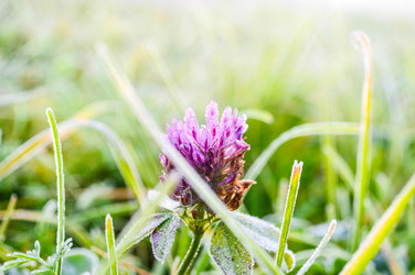 Similar image 13322127