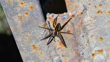 Similar image 13306129