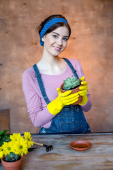 Similar image 13311985