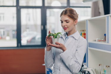 Similar image 13311857