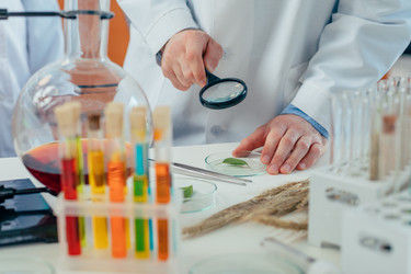 Similar image 13311886