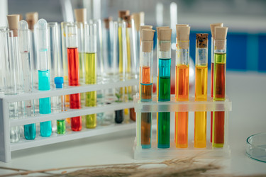 Similar image 13311948