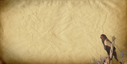 Similar image 13305923