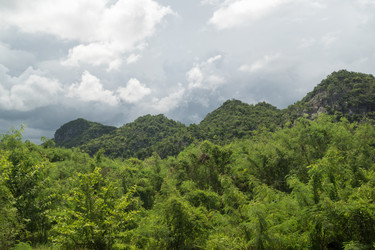 Similar image 13309258