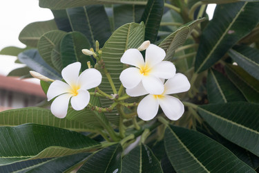 Similar image 13309259