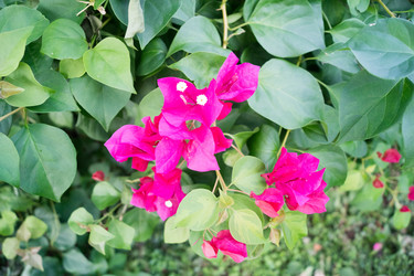 Similar image 13309261