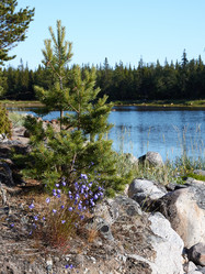 Similar image 13308556