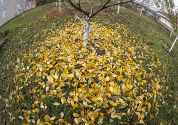 Similar image 13316706