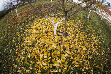 Similar image 13310023